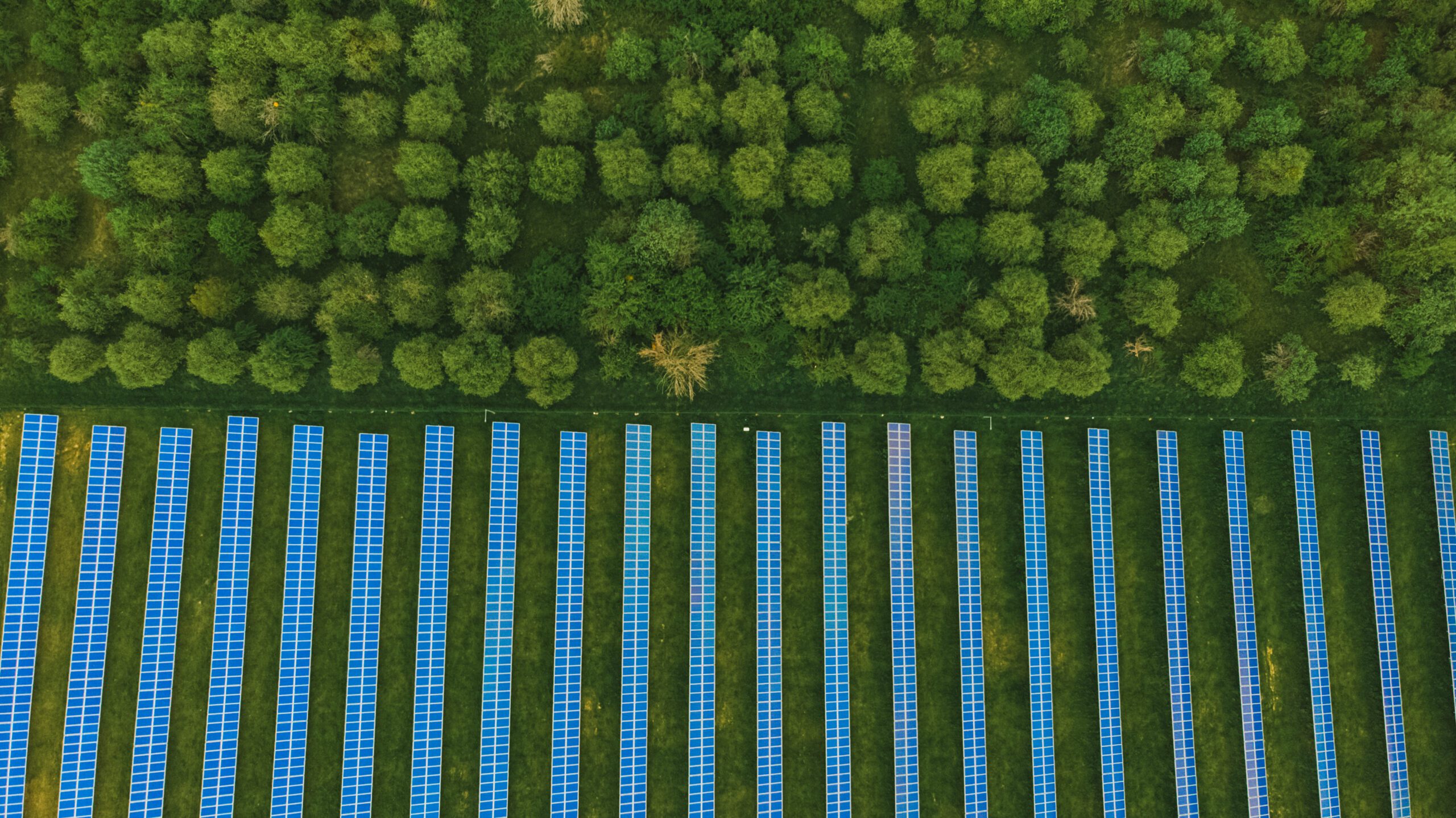 Top view of solar panels (solar cell) in solar farm with green trees