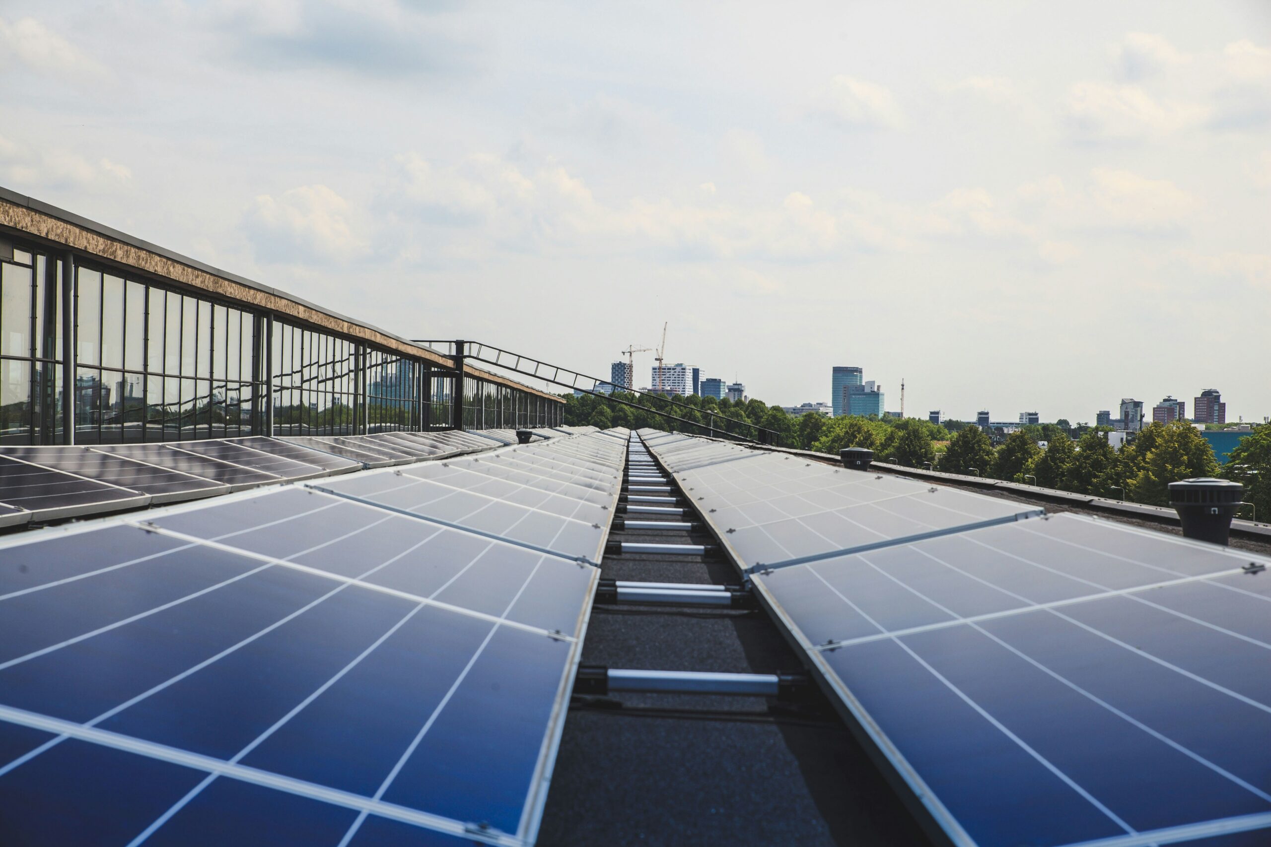 solar panels on roof of building with cityscape and trees in the background representing renewables