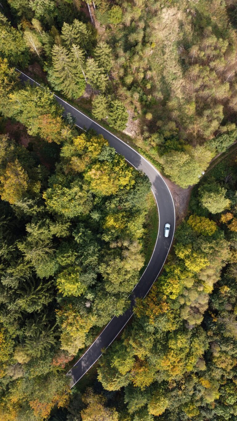 aerial view of car on road surrounded by forests and trees representing carbon capture