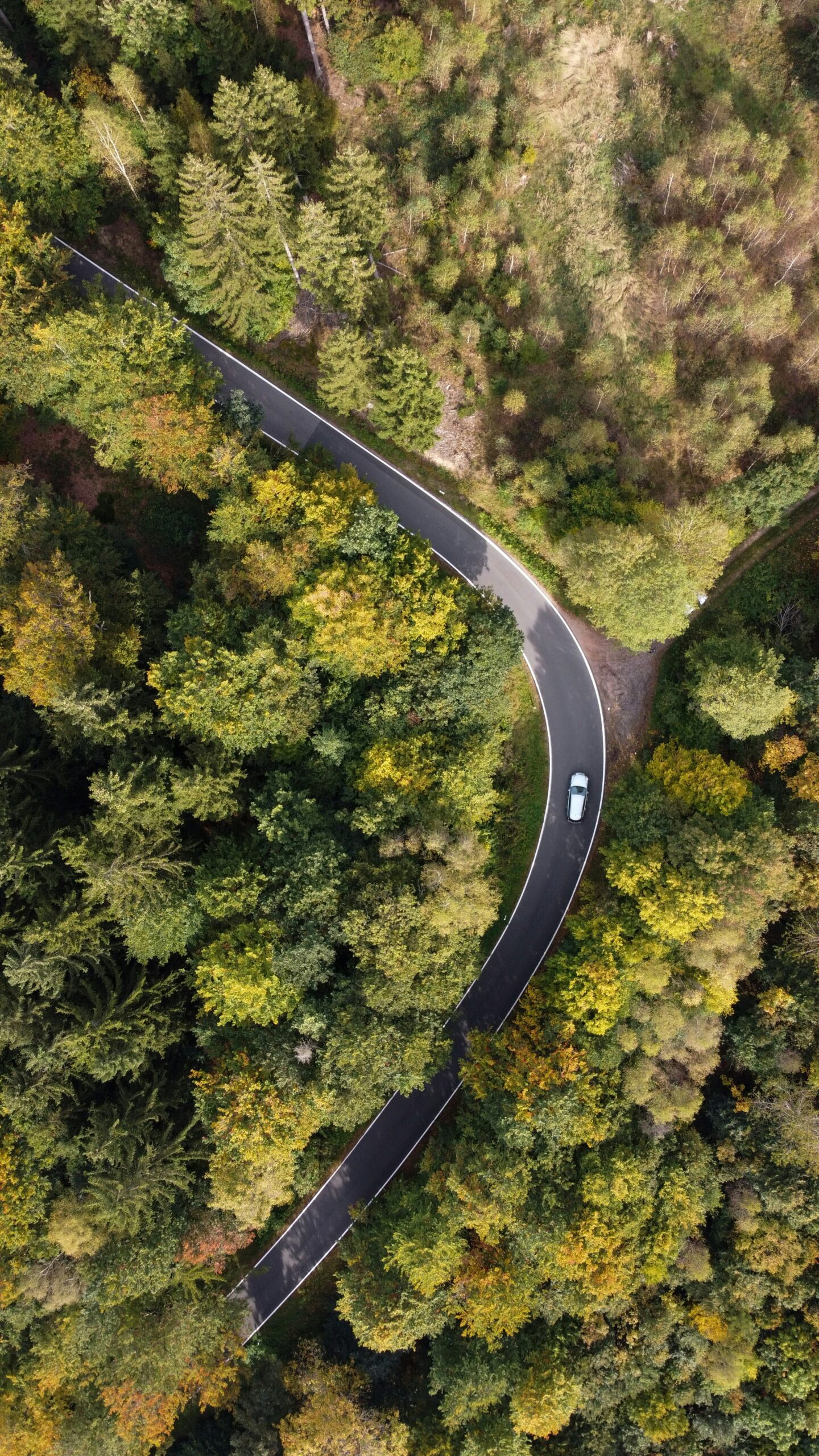 aerial view of car on road surrounded by forests and trees representing carbon capture