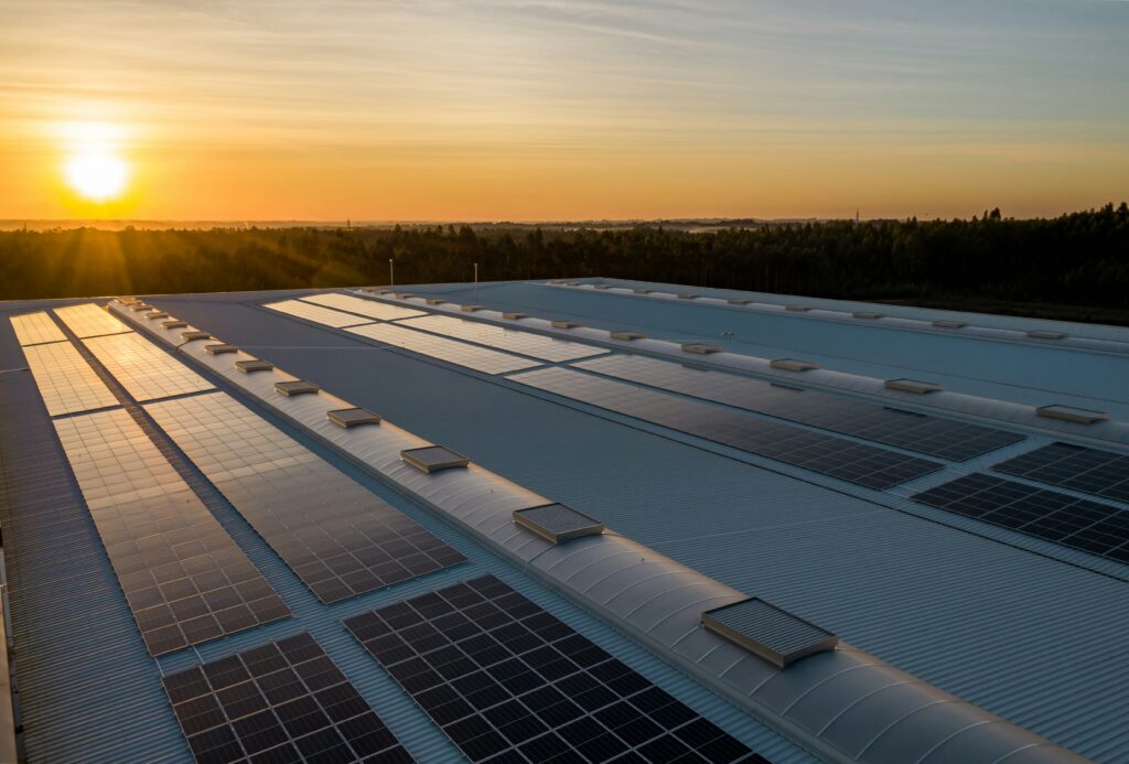 Renewable energy in action as solar panels reflect a warm evening sunset