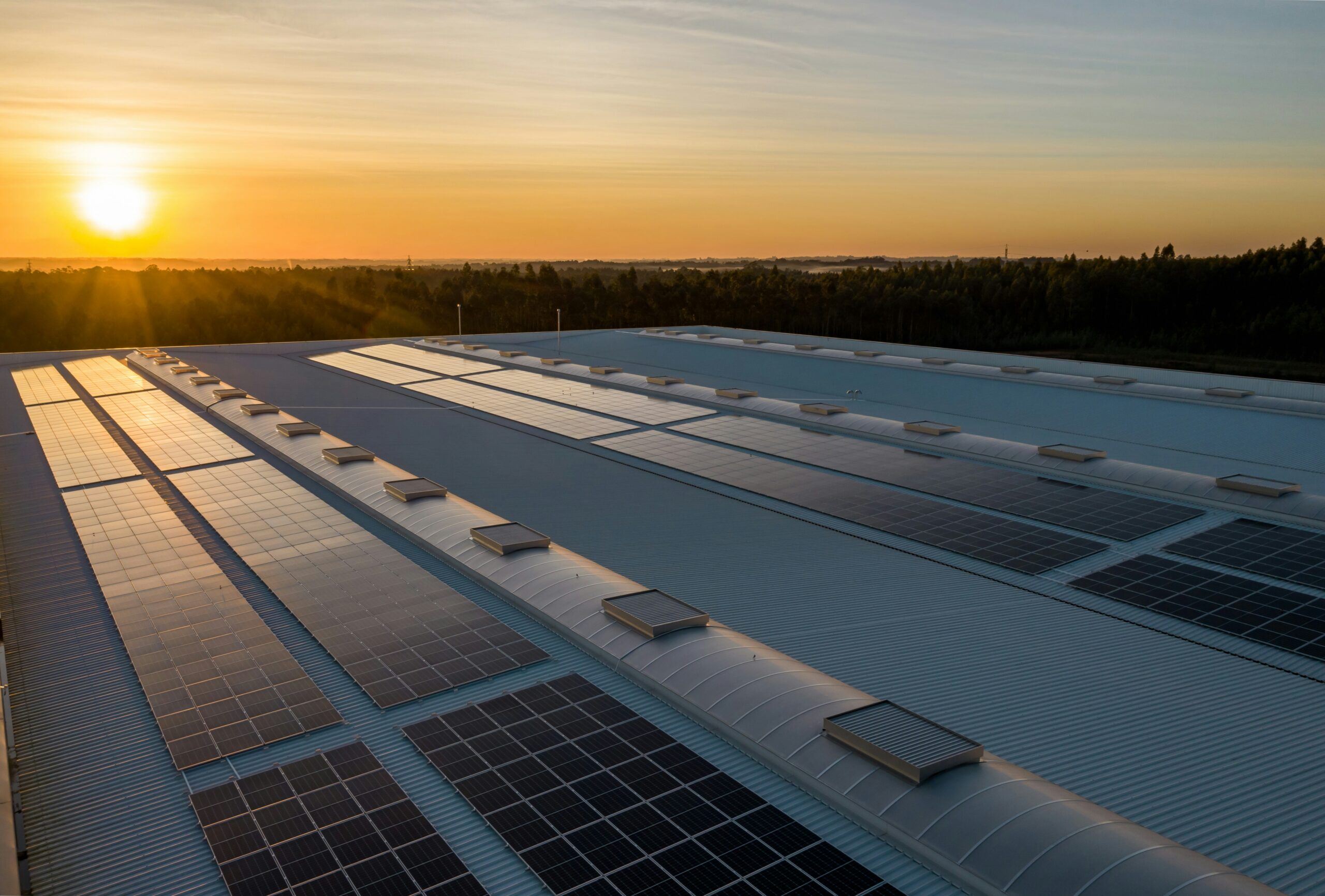Renewable energy in action as solar panels reflect a warm evening sunset