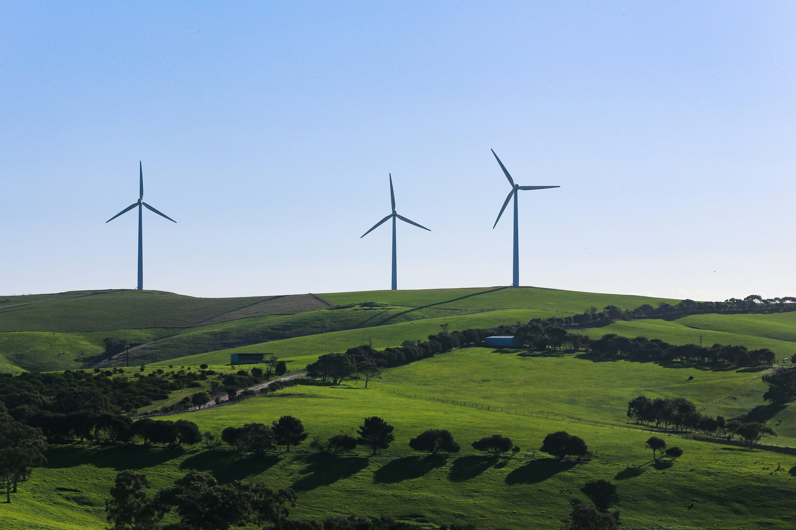 wind turbines on green field against blue sky representing BICS